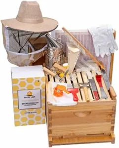 Buzzing Into Beekeeping: Top Starter Kits for Beginners