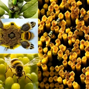 Nature’s Architects: The Buzz about Bee Wax Production