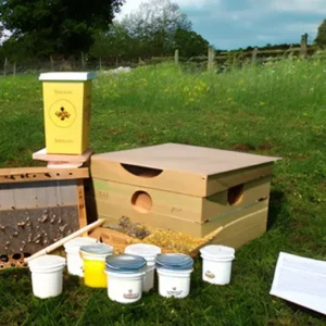 Unleashing Your Inner Apiarist: The Beekeeping Starter Kit