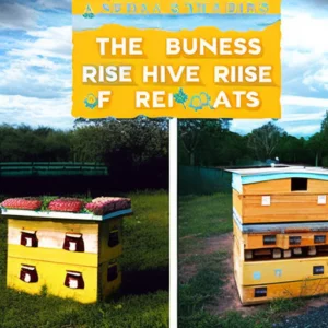 Buzzing Business: The Sweet Rise of Bee Hive Rentals