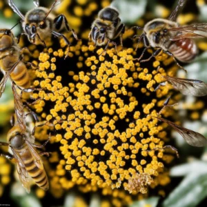 Life’s Buzz: Unveiling the Lifespan of a Honey Bee