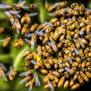Buzzing Through Stages: The Sweet Journey of a Honey Bee’s Life