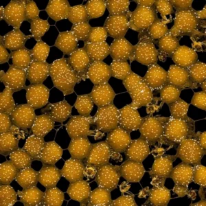 Inside the Buzz: The Sweet Science Behind Honeycomb Creation