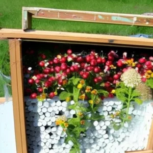 How to reuse beehive frames (safely)